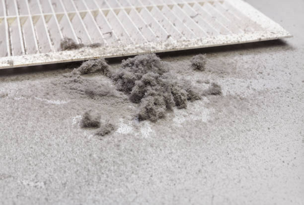 Best Home Air Vent Cleaning  in Brighton, AL