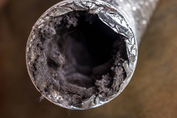 Best HVAC Maintenance and Cleaning  in Brighton, AL