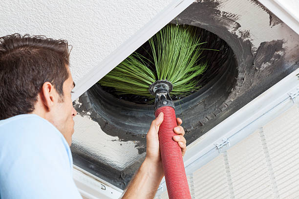 Best Affordable Duct Cleaning Services  in Brighton, AL