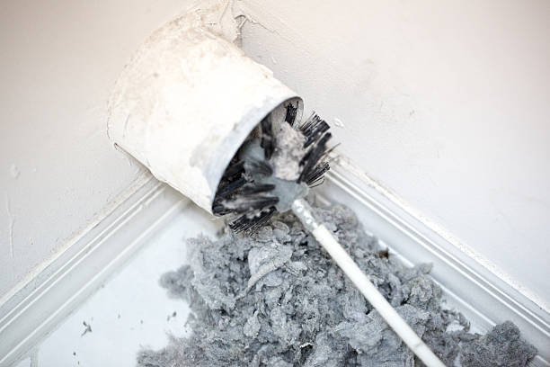 Best Air Duct Cleaning Near Me  in Brighton, AL